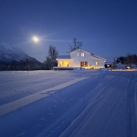 Mountainside Lodge - Breivikeidet Tromsø Eksteriør bilde