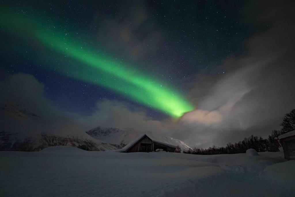 Mountainside Lodge - Breivikeidet Tromsø Eksteriør bilde