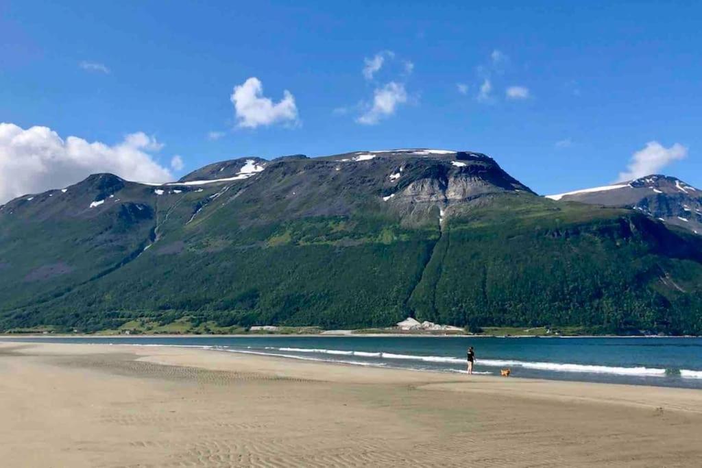 Mountainside Lodge - Breivikeidet Tromsø Eksteriør bilde