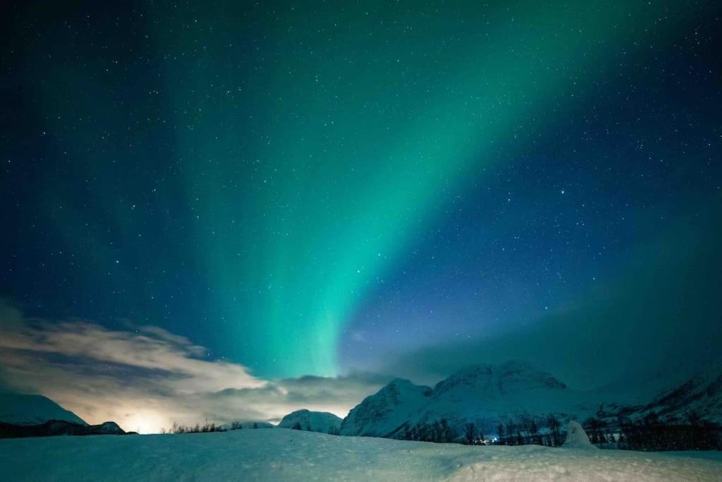 Mountainside Lodge - Breivikeidet Tromsø Eksteriør bilde