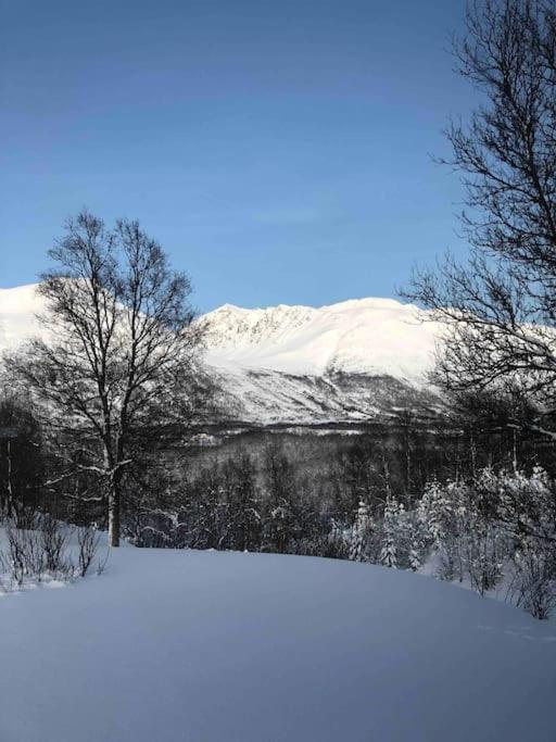 Mountainside Lodge - Breivikeidet Tromsø Eksteriør bilde
