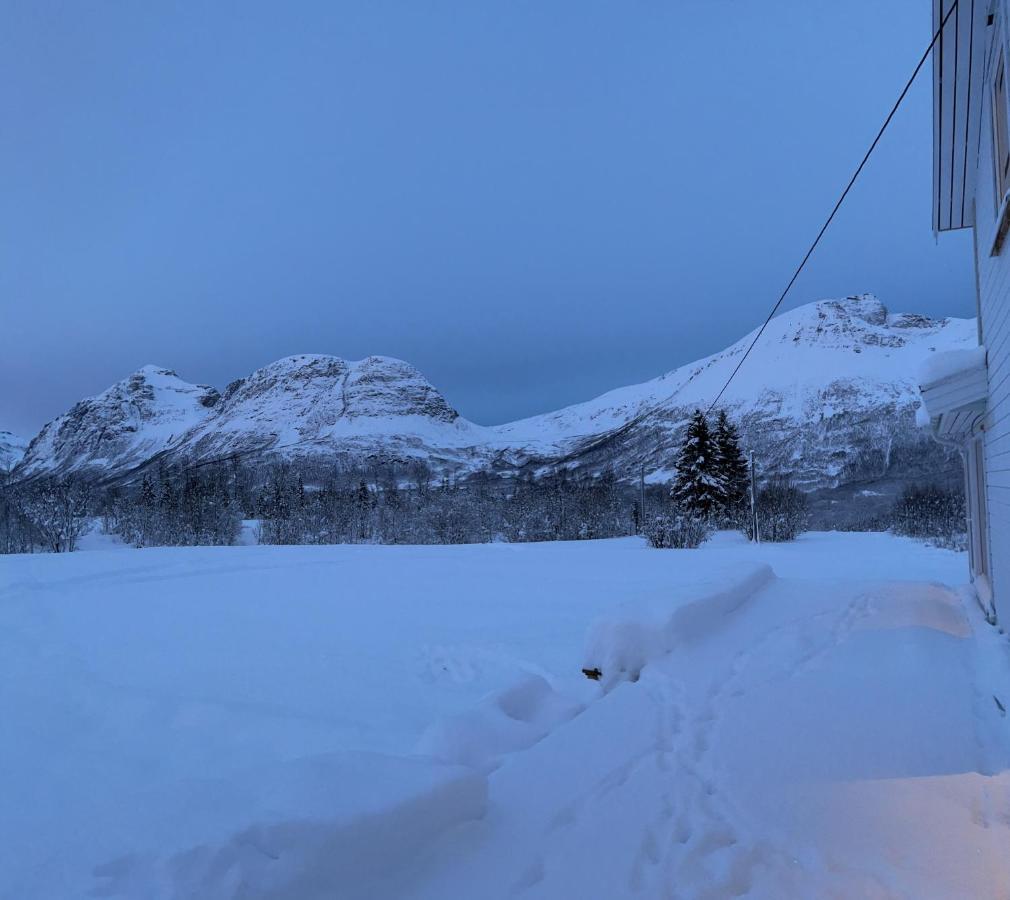Mountainside Lodge - Breivikeidet Tromsø Eksteriør bilde