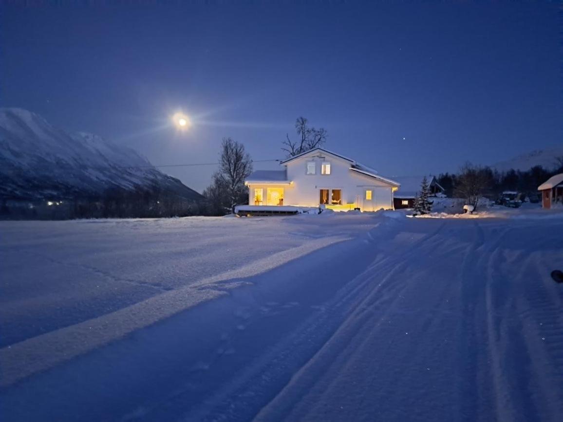 Mountainside Lodge - Breivikeidet Tromsø Eksteriør bilde